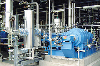 Chemical - Peroni Pompe